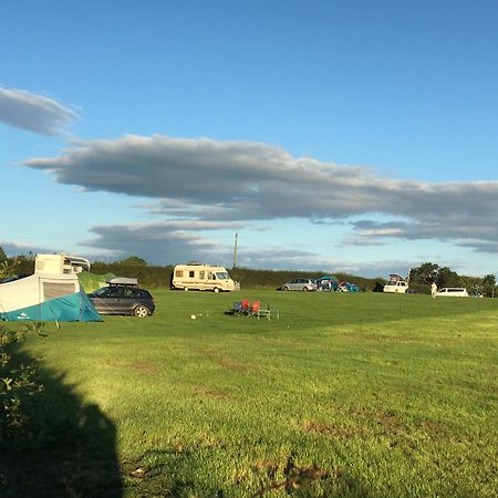 Carreg Y Gwynt Campsite - Touring And Tent Pitches Hotell Llanarth  Exteriör bild